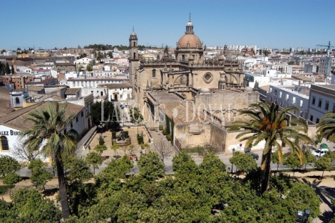 Jerez de la Frontera. Hotel en venta en centro turístico e histórico. 