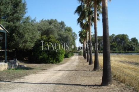 Mallorca. Mansión de lujo y finca en Algaida