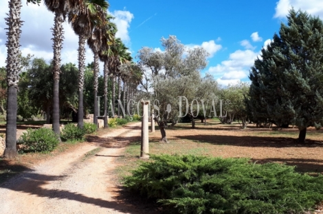 Mallorca. Finca con villa de lujo en venta. Felanitx