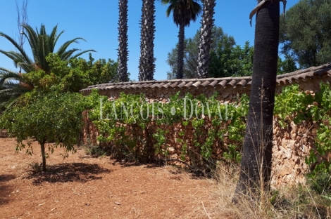 Mallorca. Finca con villa de lujo en venta. Felanitx