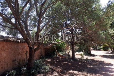 Mallorca. Finca con villa de lujo en venta. Felanitx