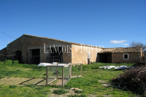 Mallorca. Finca rústica en venta ideal agroturismo. Sant Jordi.