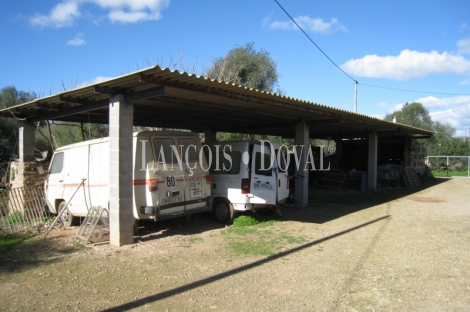 Mallorca. Finca rústica en venta ideal agroturismo. Sant Jordi.