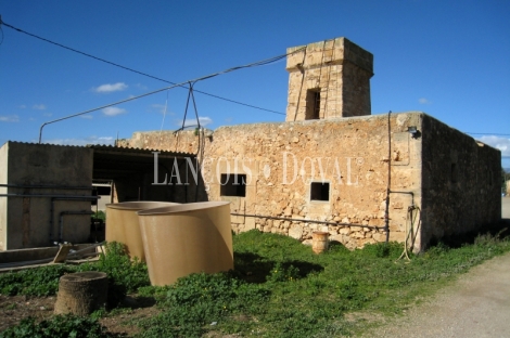 Mallorca. Finca rústica en venta ideal agroturismo. Sant Jordi.