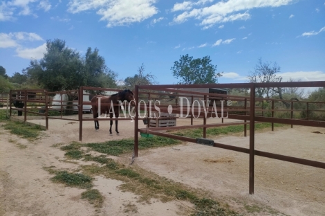 Mallorca. Finca ecuestre y hotel en venta. Montuïri.
