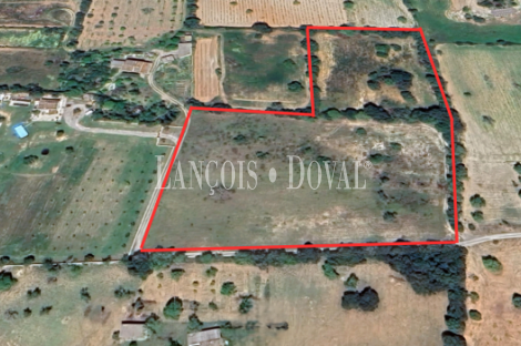 Finca rústica de 18.000m2, con proyecto de construcción