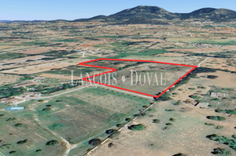 Finca rústica de 18.000m2, con proyecto de construcción