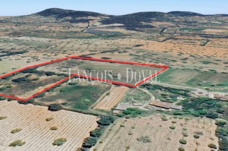 Finca rústica de 18.000m2, con proyecto de construcción