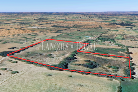 Finca rústica de 18.000m2, con proyecto de construcción