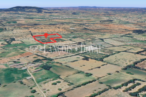Finca rústica de 18.000m2, con proyecto de construcción