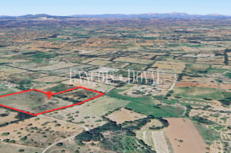 Finca rústica de 18.000m2, con proyecto de construcción