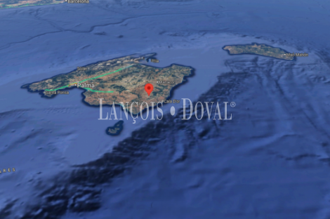 Finca rústica de 18.000m2, con proyecto de construcción