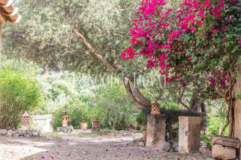 Mallorca. Una singular Casa rústica en venta en Andratx