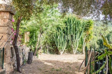 Mallorca. Una singular Casa rústica en venta en Andratx