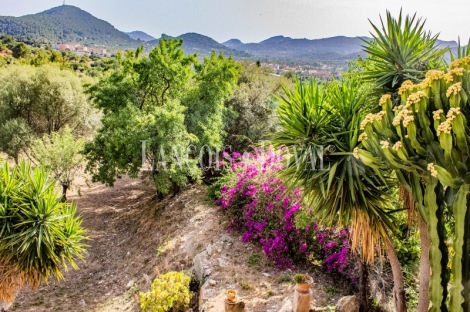 Mallorca. Una singular Casa rústica en venta en Andratx