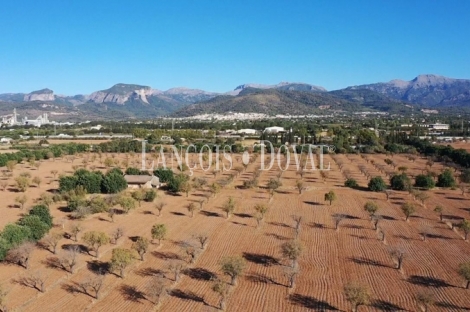 Mallorca. Inca. Finca Exclusiva en venta en el Corazón de la Isla