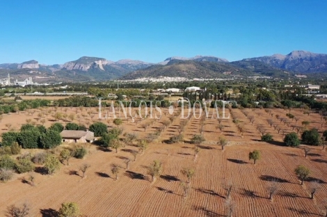 Mallorca. Inca. Finca Exclusiva en venta en el Corazón de la Isla