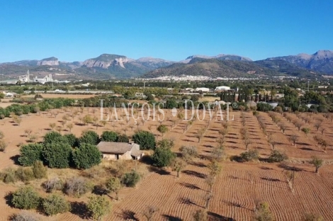 Mallorca. Inca. Finca Exclusiva en venta en el Corazón de la Isla