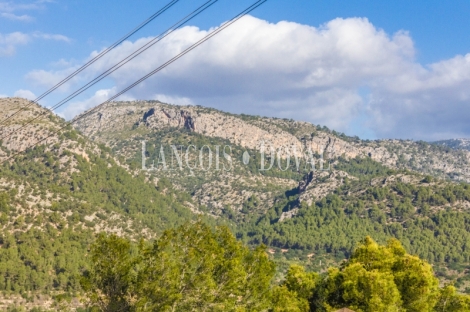 Esporles. Mallorca. Chalet en venta con piscina y amplio jardín. 