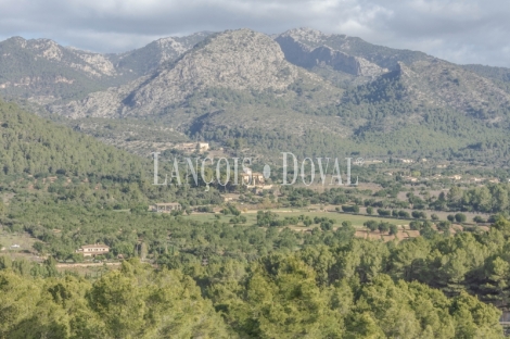 Esporles. Mallorca. Chalet en venta con piscina y amplio jardín. 