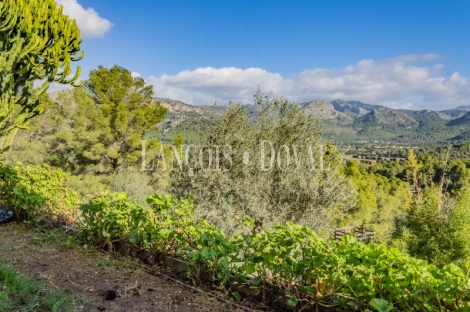 Esporles. Mallorca. Chalet en venta con piscina y amplio jardín. 