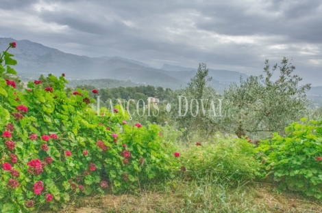 Esporles. Mallorca. Chalet en venta con piscina y amplio jardín. 