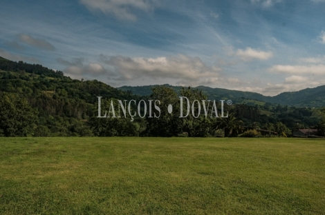 Casa rural tradicional en venta. Vistas Picos, Asturias propiedades singulares