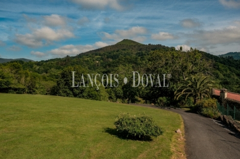 Casa rural tradicional en venta. Vistas Picos, Asturias propiedades singulares