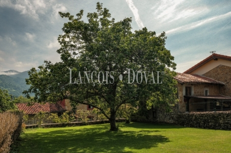 Casa rural tradicional en venta. Vistas Picos, Asturias propiedades singulares