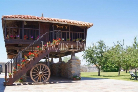 Casas señoriales en venta. Asturias Palacios y propiedades singulares.