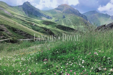 León, Hotel rural en venta. Burón. Cerca Picos de Europa.