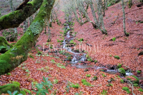 León, Hotel rural en venta. Burón. Cerca Picos de Europa.