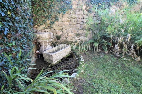 Asturias. Casa señorial histórica en venta actualmente hotel con encanto.