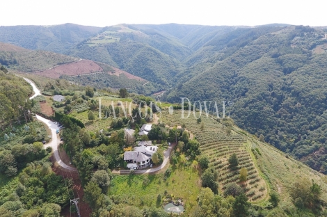 Taramundi. Venta restaurante y finca explotación arándanos. 