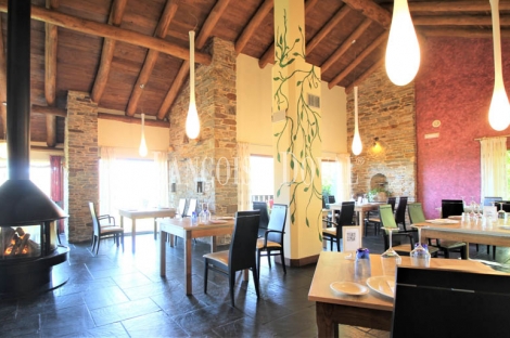 Taramundi. Venta restaurante y finca explotación arándanos. 