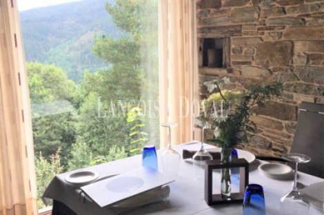 Taramundi. Venta restaurante y finca explotación arándanos. 