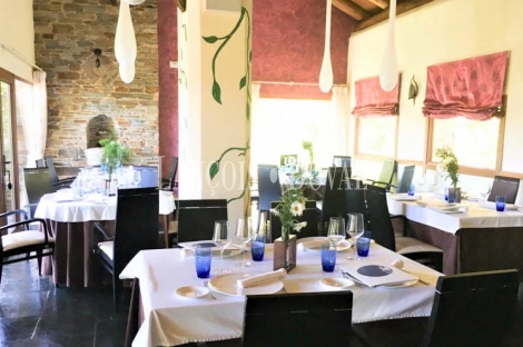 Taramundi. Venta restaurante y finca explotación arándanos. 