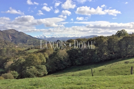 Asturias. Una casa señorial catalogada en venta en el Concejo de Parres.