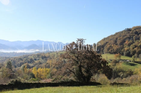 Asturias. Una casa señorial catalogada en venta en el Concejo de Parres.