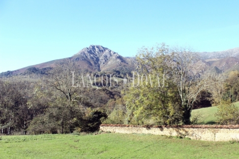 Asturias. Una casa señorial catalogada en venta en el Concejo de Parres.