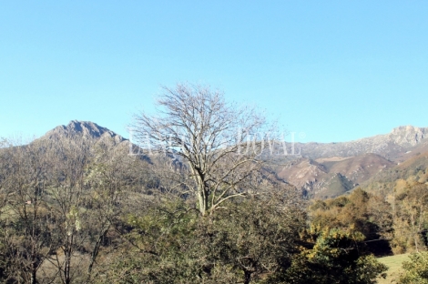 Asturias. Una casa señorial catalogada en venta en el Concejo de Parres.