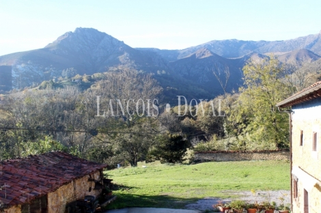 Asturias. Una casa señorial catalogada en venta en el Concejo de Parres.