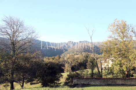 Asturias. Una casa señorial catalogada en venta en el Concejo de Parres.