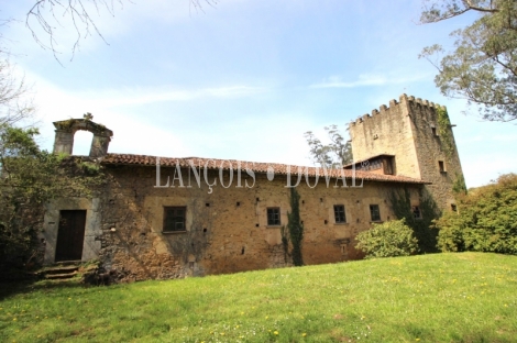 Asturias. Casa palacio en venta siglo XVI. Concejo de Salas. 