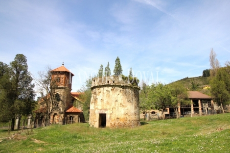 Asturias. Casa palacio en venta siglo XVI. Concejo de Salas. 