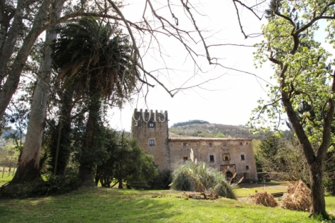 Asturias. Casa palacio en venta siglo XVI. Concejo de Salas. 