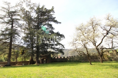 Asturias. Casa palacio en venta siglo XVI. Concejo de Salas. 