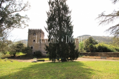 Asturias. Casa palacio en venta siglo XVI. Concejo de Salas. 