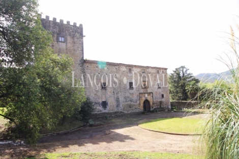 Asturias. Casa palacio en venta siglo XVI. Concejo de Salas. 