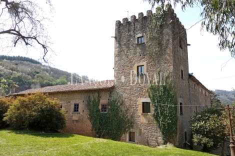 Asturias. Casa palacio en venta siglo XVI. Concejo de Salas. 